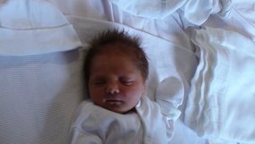 Ads new beautiful niece