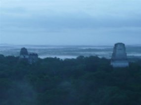 Ancient temples peeking thro the jungle