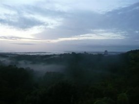 Mountain mist across the jungle from 50 ft up!
