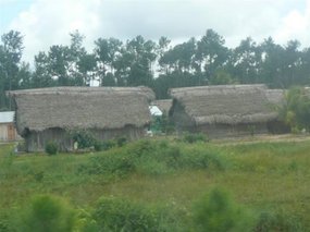 Straw roof homes..