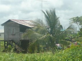 Typcial tin home