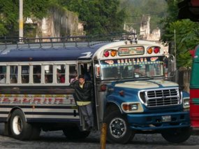 Local morning bus mayhem!