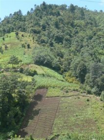 Farming of the land