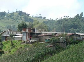 Shacks on the hillside