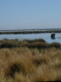 Lake Titicaca Peru side...