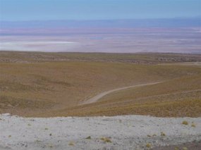 New landscape of chile