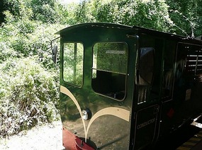 Train ride to falls