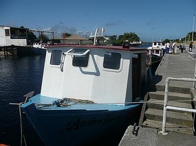 Ferry to the Island
