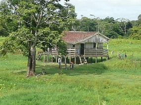 Rural Life