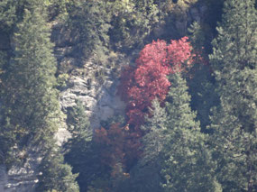 Canyon
