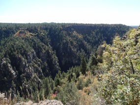 Oak Canyon