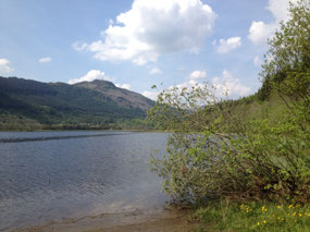 Beautiful loch