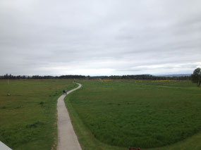 Path through Culloden Battlefield