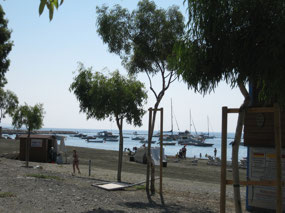 Ships in Limassol Harbor
