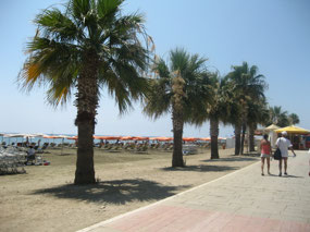 The Larnaca Palm Promenade