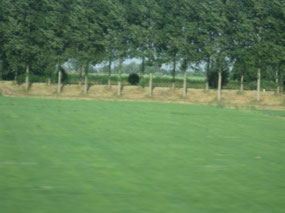 View from the train to Utrecht
