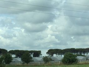 View of the Appian Way