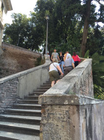Stairs up to the viewing platform
