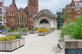 A view of the garden/park