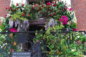 Bloomsbury Hotel Entry