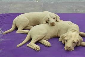 Sand sculpture grows