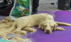 Sand sculptures
