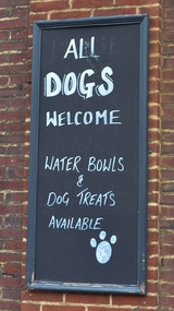 They love doggies in Tynemouth