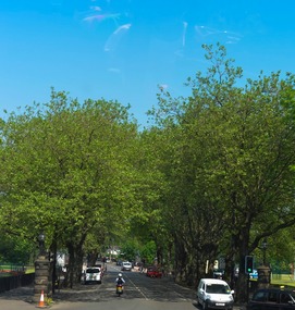 Kelvin Way