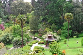 A view of the Japanese Garden