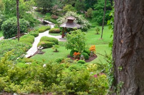 Another view of the Japanese Garden