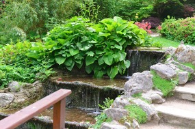 In the Japanese Garden
