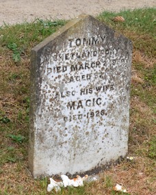 Marker for shetland pony and "wife"