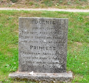 Marker for two bovines