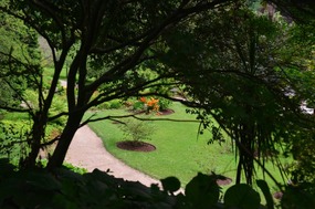 Melissa's view coming out of the Japanese Garden