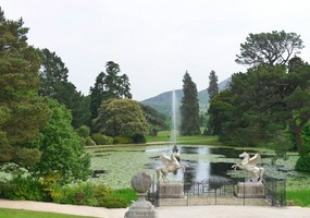 View of the lake and fountain from up top