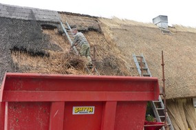 Man rethatching roof of pub