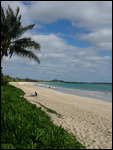 Aloha, Hawaii!