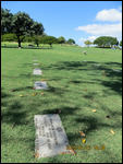 National Memorial Cemetary of the Pacific