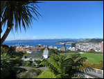 Wellington View