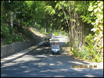 Golf Cart Traffic