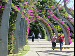 Metal trellises