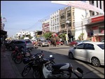 elephants in the street