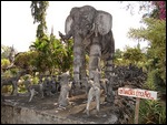 Dogs chasing Elephant