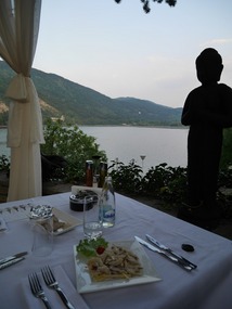 Dîner @ Лебед