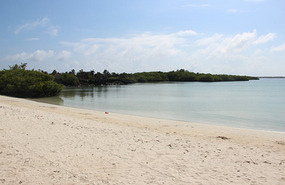 Tortuga Bay