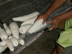 Making Yucca bread