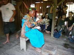 Shaman