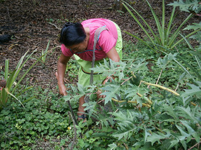 Siona community