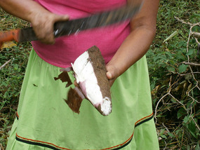 Siona Community