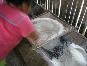 Making Yucca bread